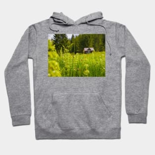 live in the forest Hoodie